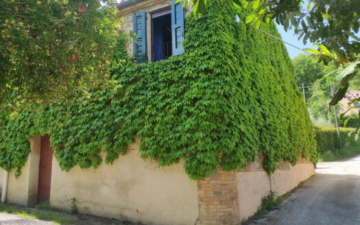 Cingoli Immobiliare Rif. 981 AFFASCINANTE CIELO-TERRA IN PIETRA A SAN SEVERINO MARCHE