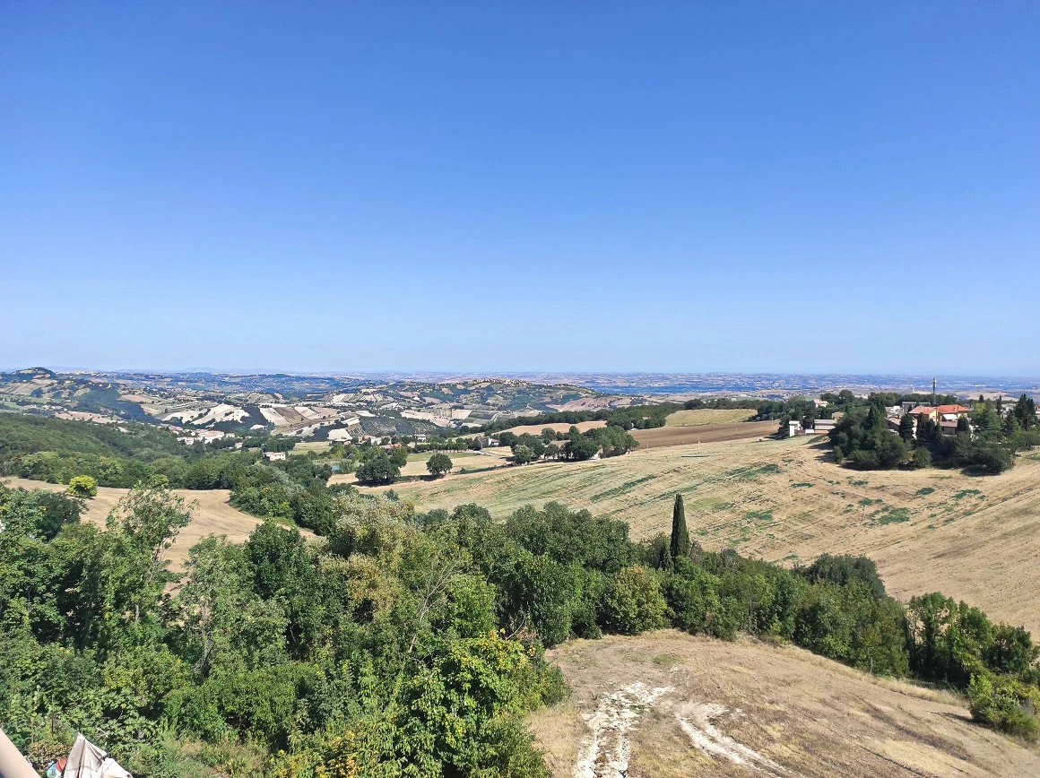 APP-SOGG-VISTA-1