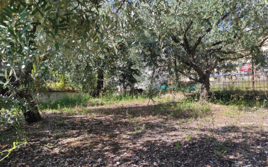 Cingoli Immobiliare RIF. 838 OCCASIONE IMPRENDITORIALE