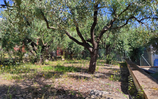 Cingoli Immobiliare RIF. 838 OCCASIONE IMPRENDITORIALE