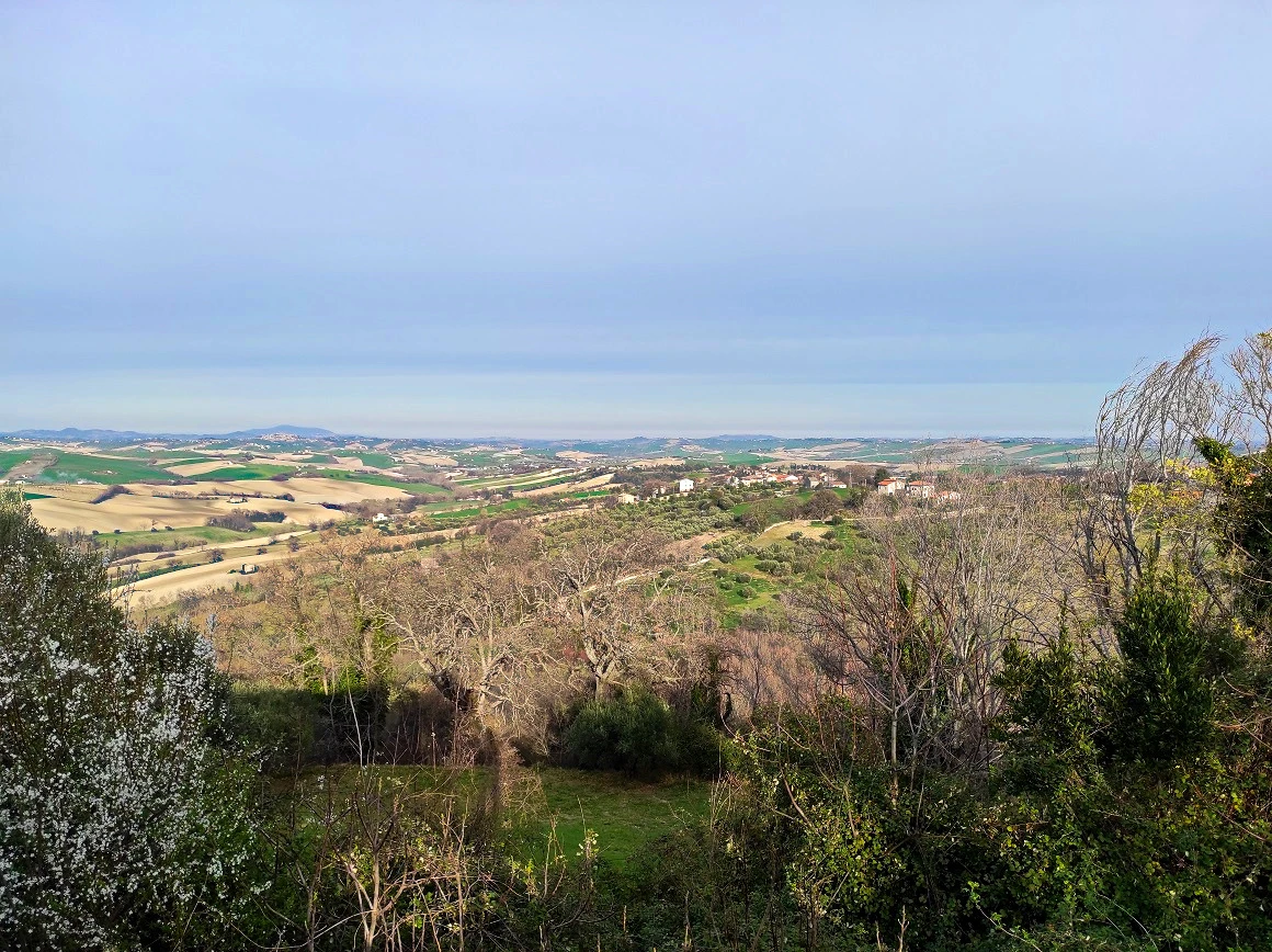 PT-VISTA-6