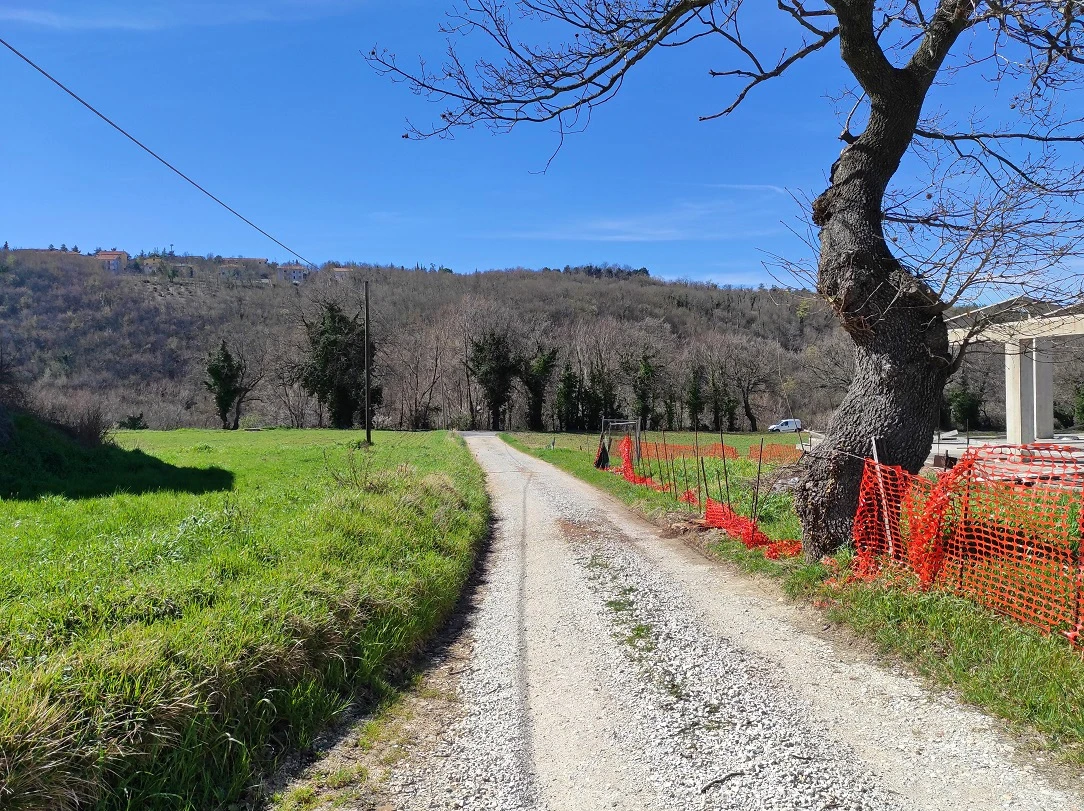 STRADA-3