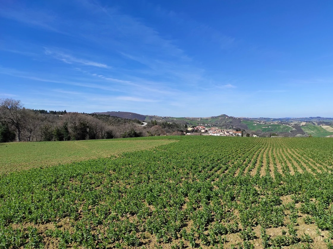 TERRENO-2-15
