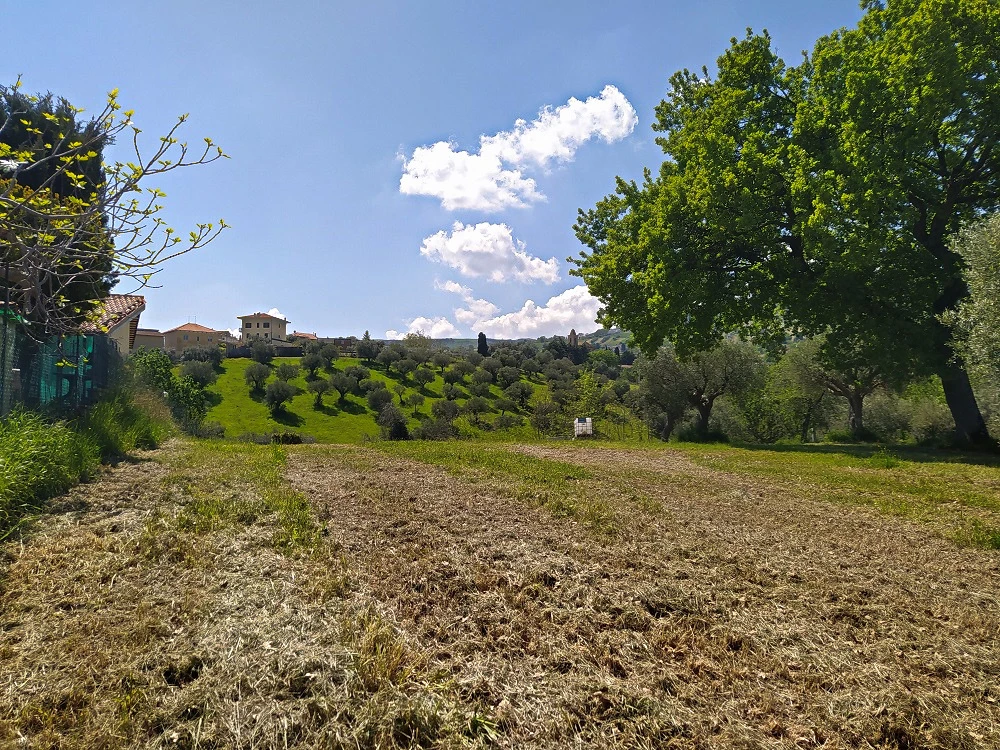 1000