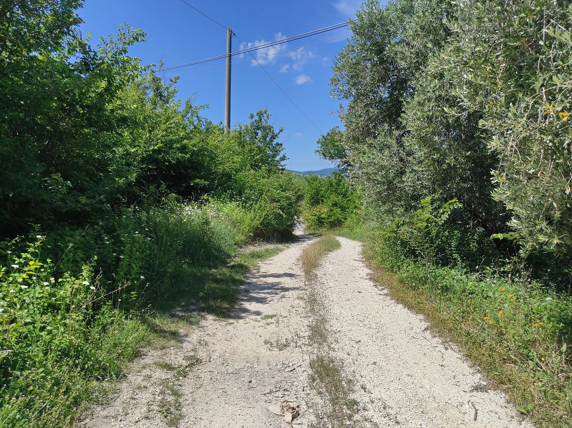 TERRENO-STRADA-1